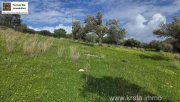 Kalamaki Kreta, Kalamaki Grundstück 2.600 m² zu verkaufen Grundstück kaufen